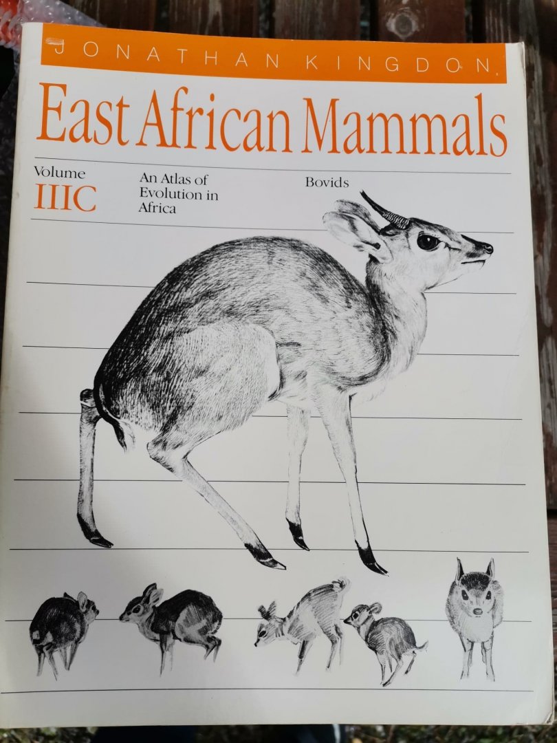 East African Mammals: An Atlas of Evolution in Africa, Volume 3, Part C: Bovids