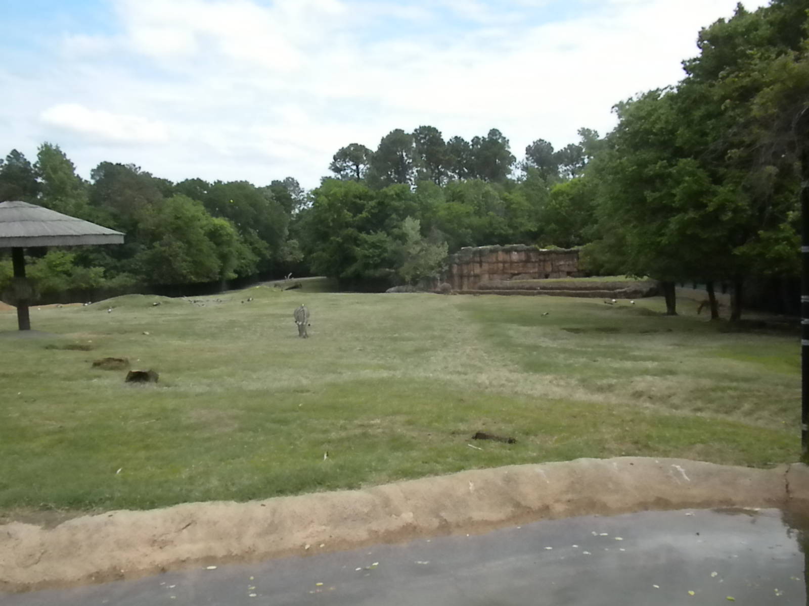 East African Savanna