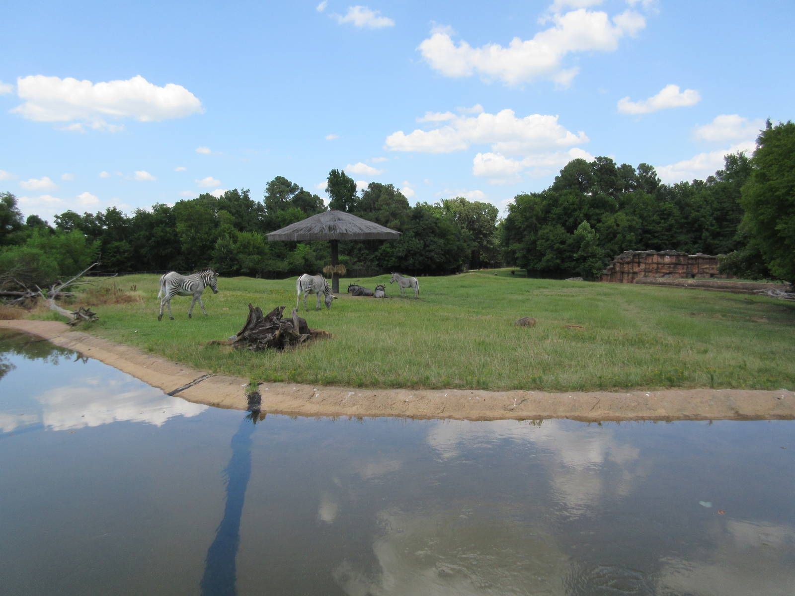 East African Savanna