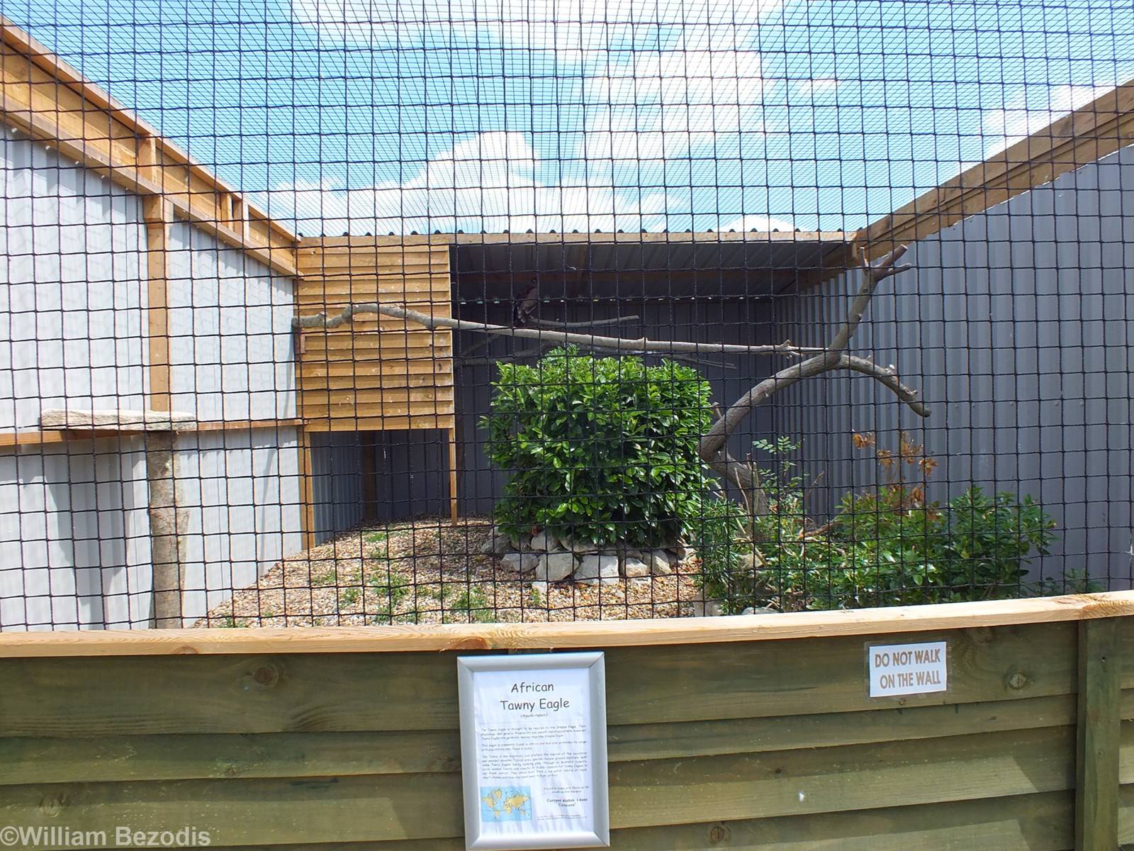 East African Tawny Eagle Enclosure