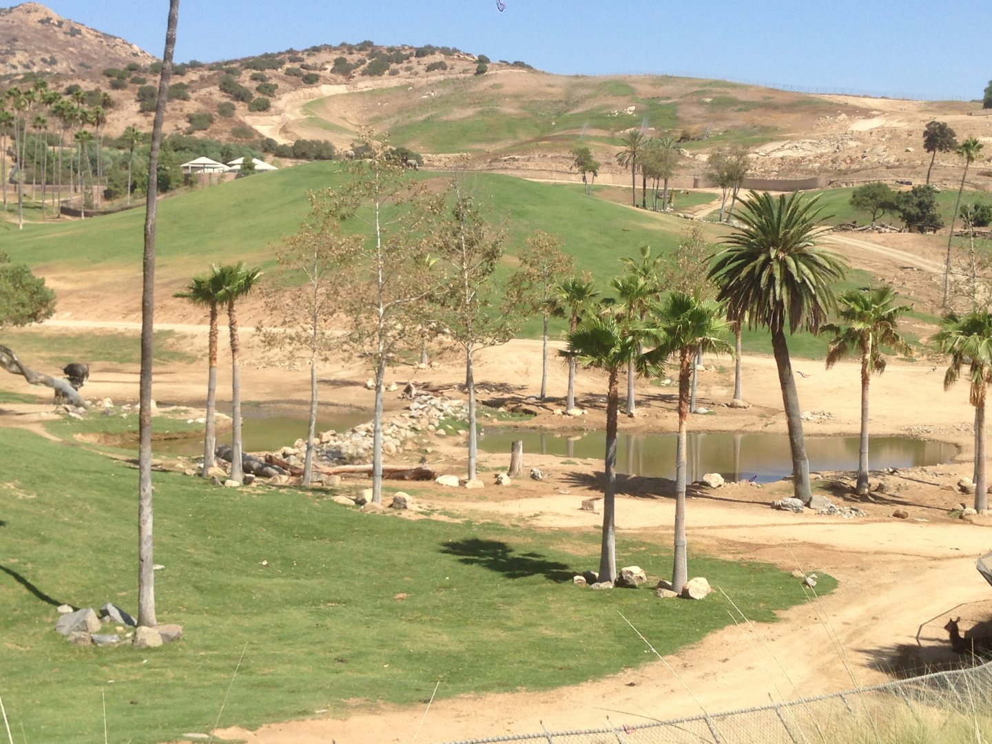 East African Watering Hole - View From Watering Hole