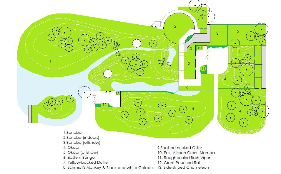 East and Central African Rainforest