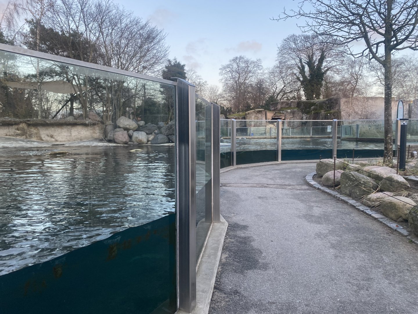 East Atlantic harbour seal habitat 261124