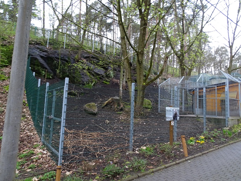 East-Causasian tur enclosure (04/23)