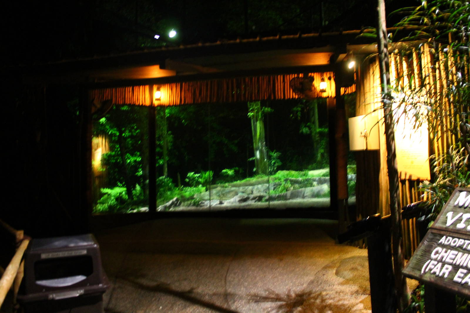 East Lodge Trail - Malayan Tiger exhibit