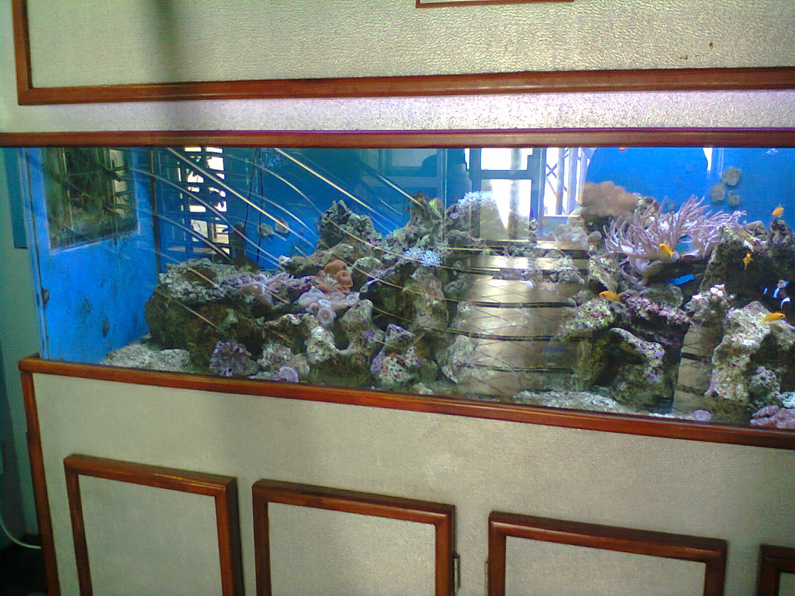 East London Aquarium