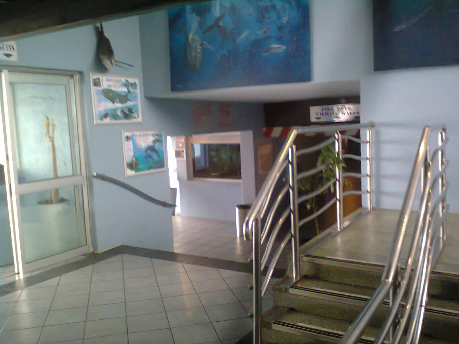 East London Aquarium