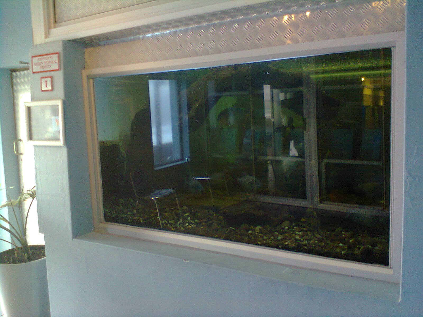 East London Aquarium