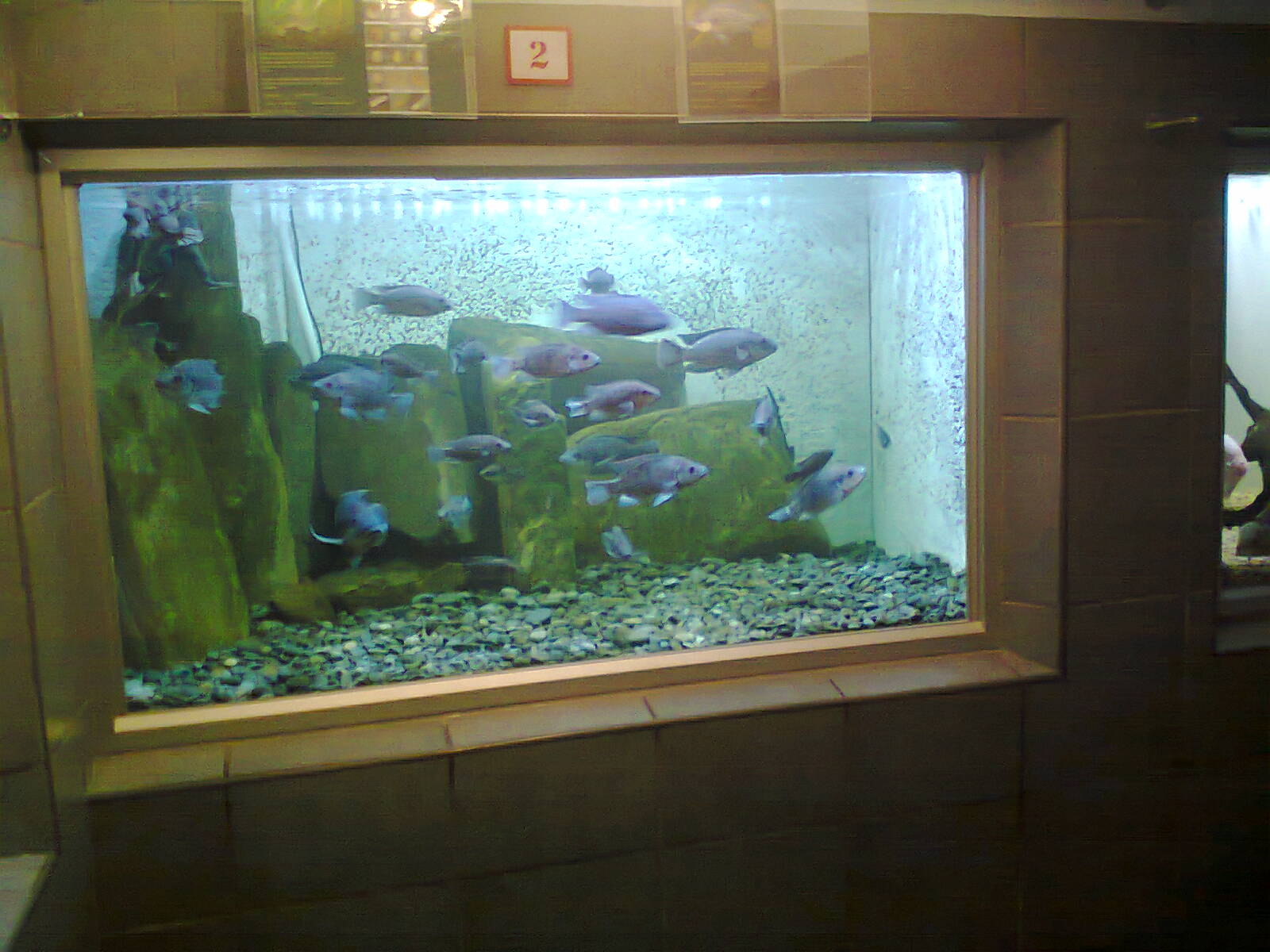 East London Aquarium