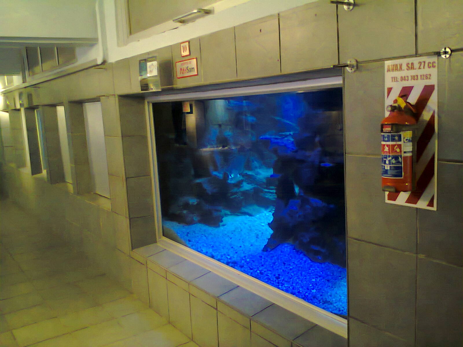 East London Aquarium