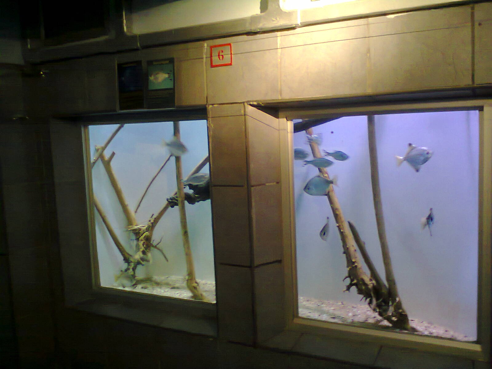 East London Aquarium