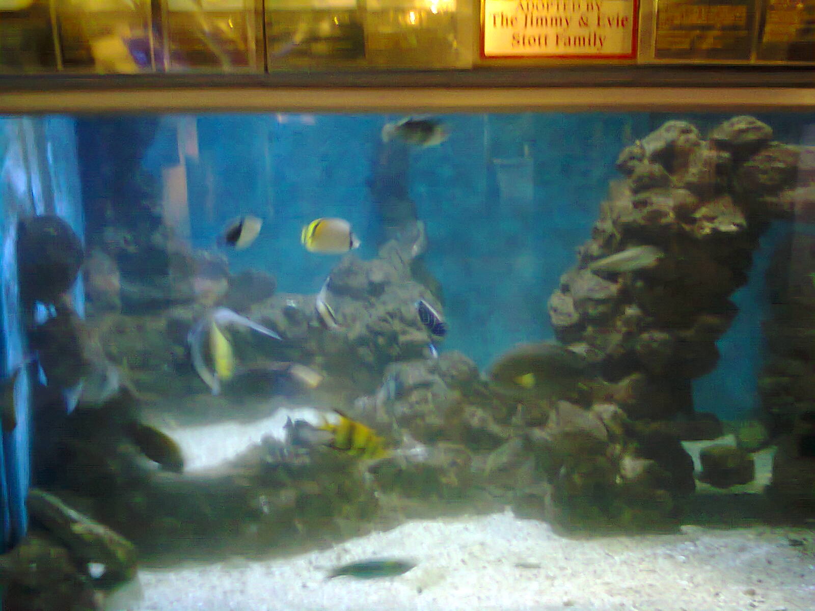 East London Aquarium