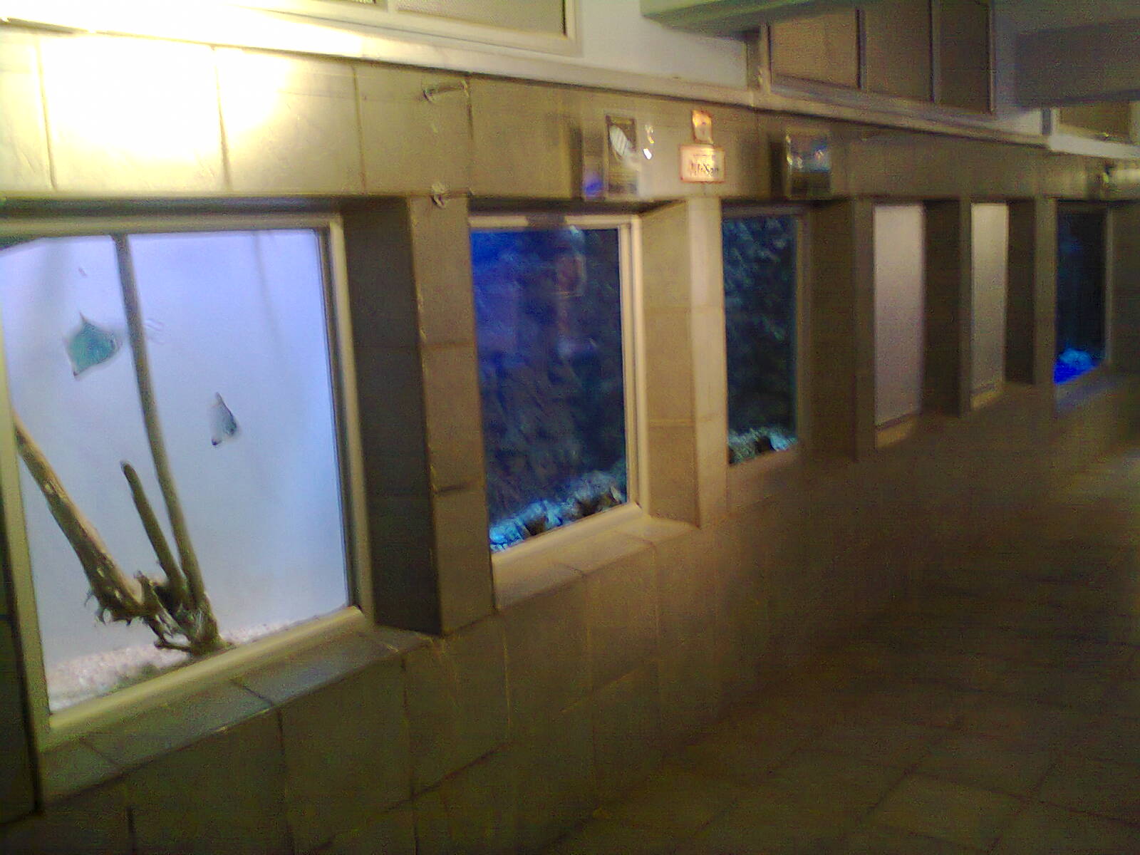 East London Aquarium