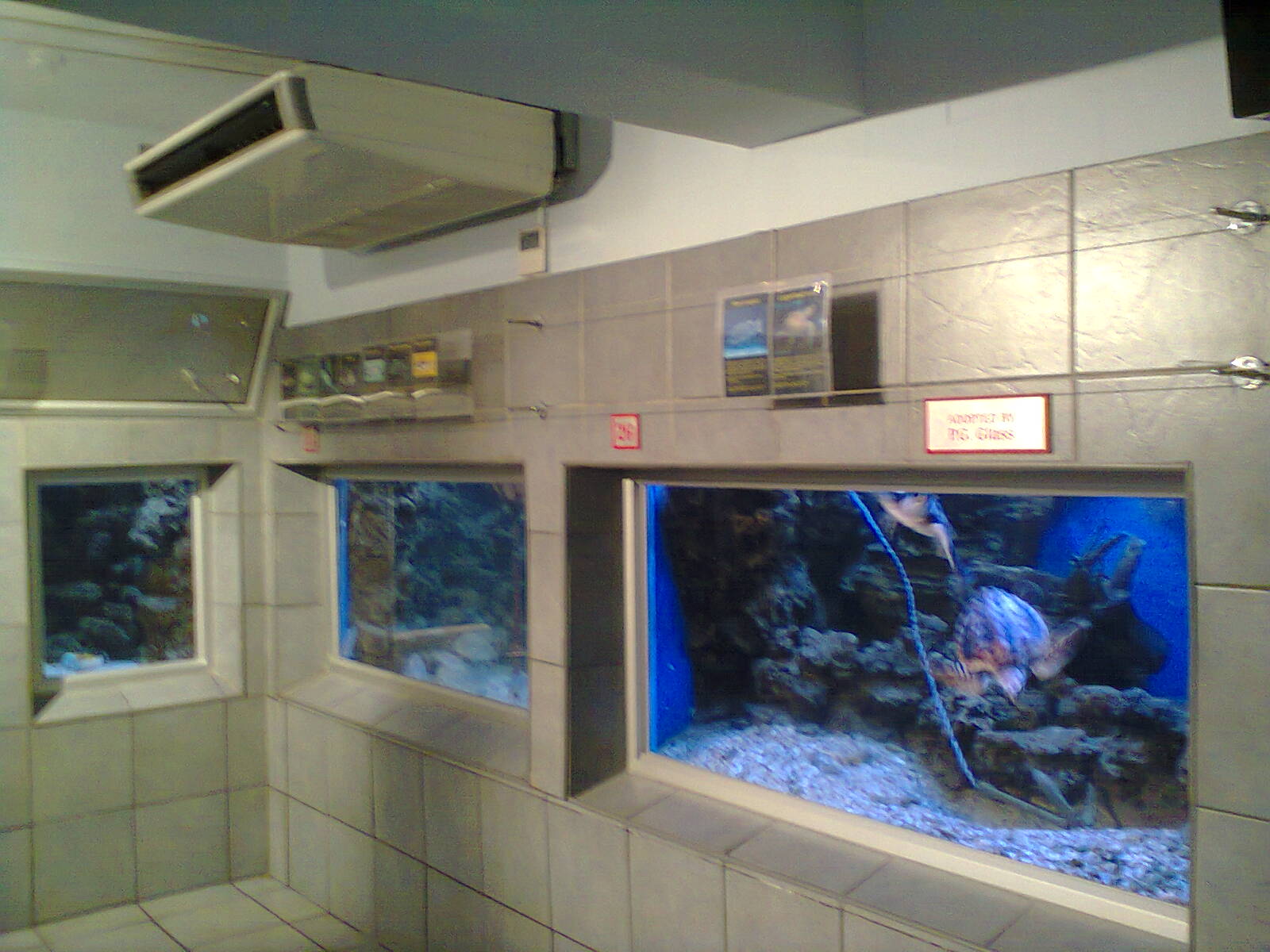 East London Aquarium