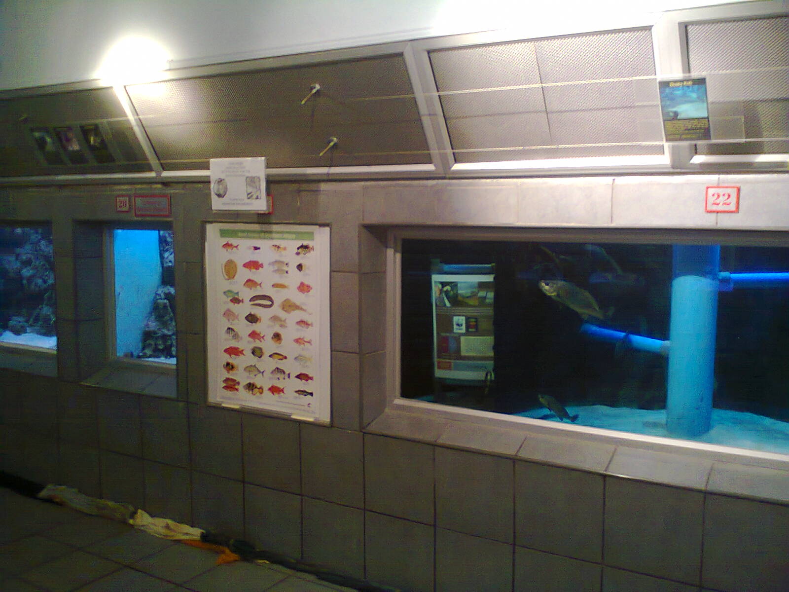 East London Aquarium