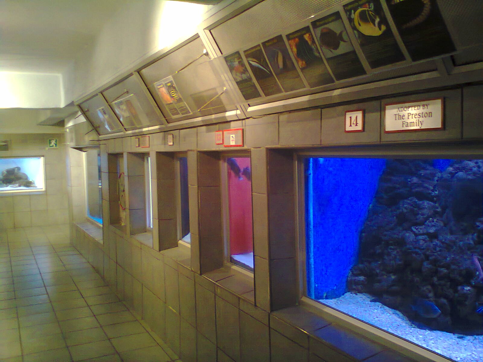 East London Aquarium