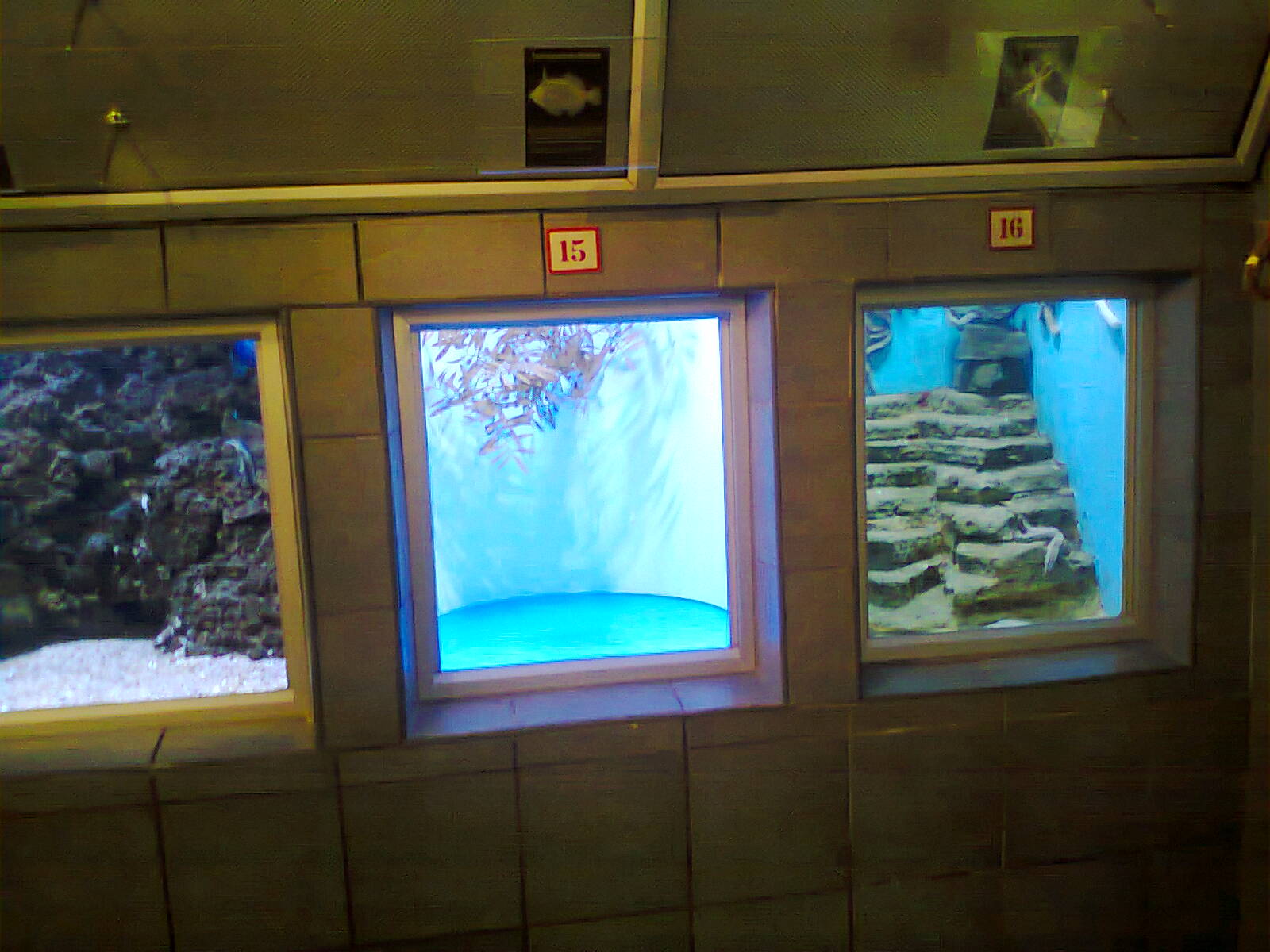 East London Aquarium