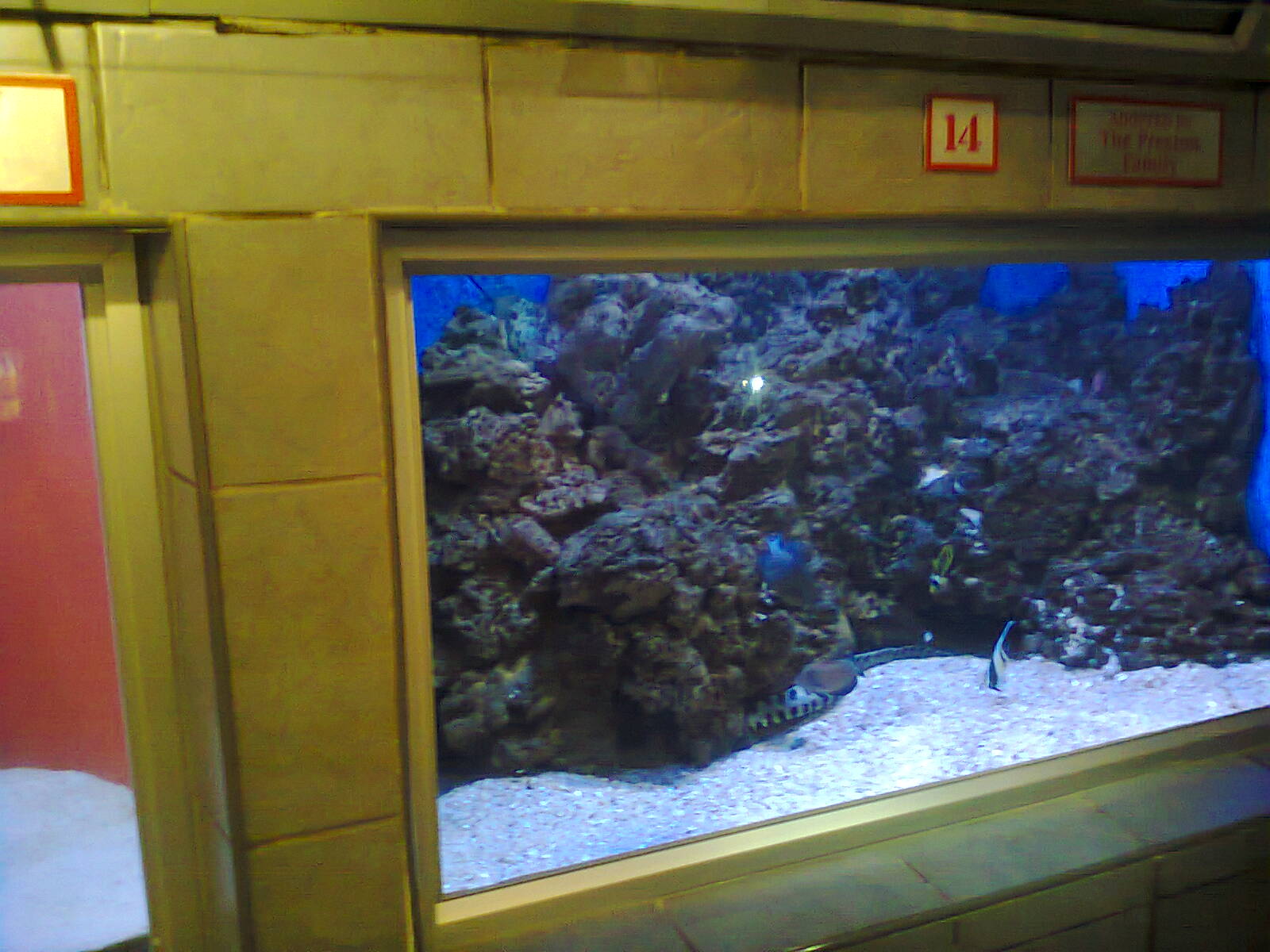 East London Aquarium