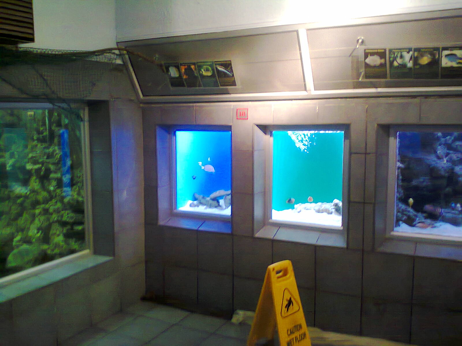 East London Aquarium