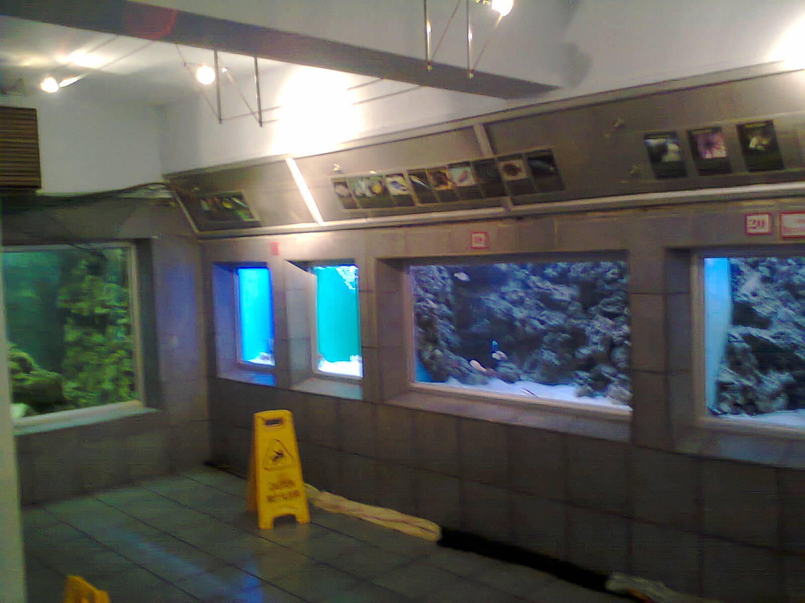 East London Aquarium