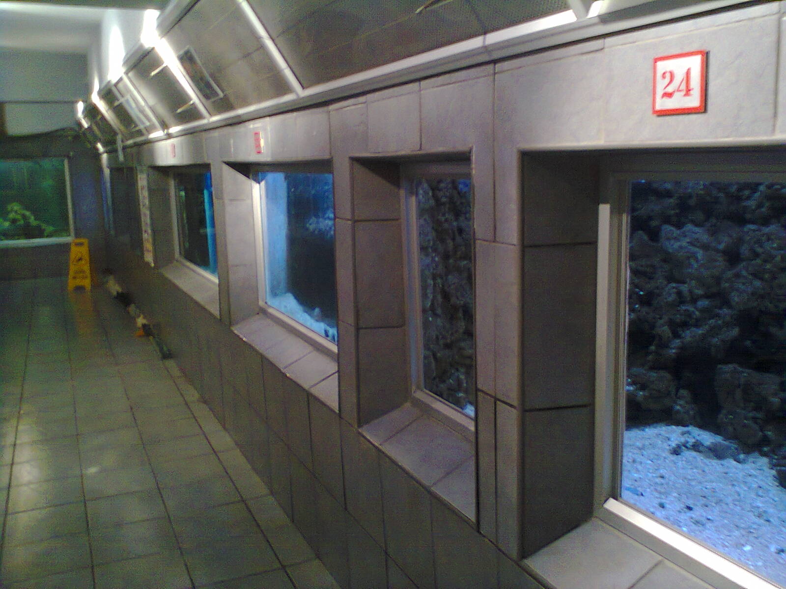 East London Aquarium