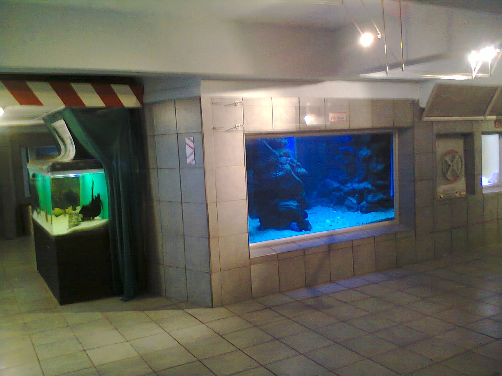 East London Aquarium