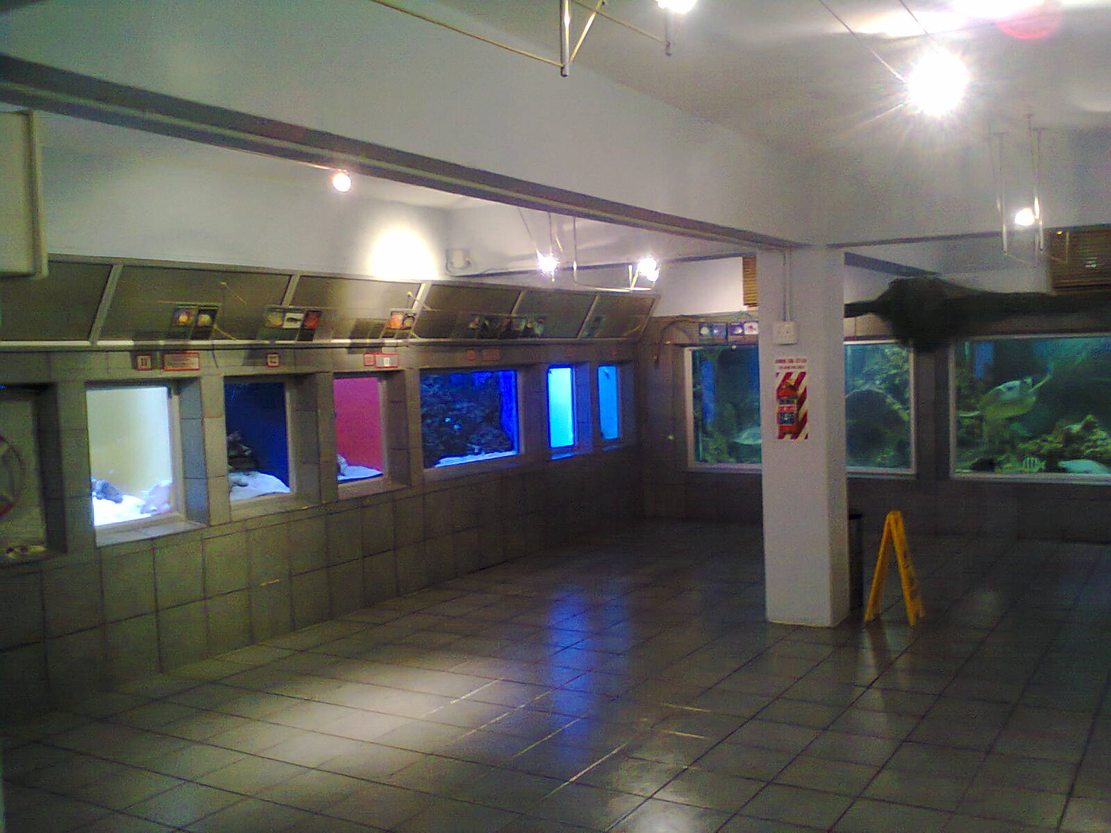 East London Aquarium