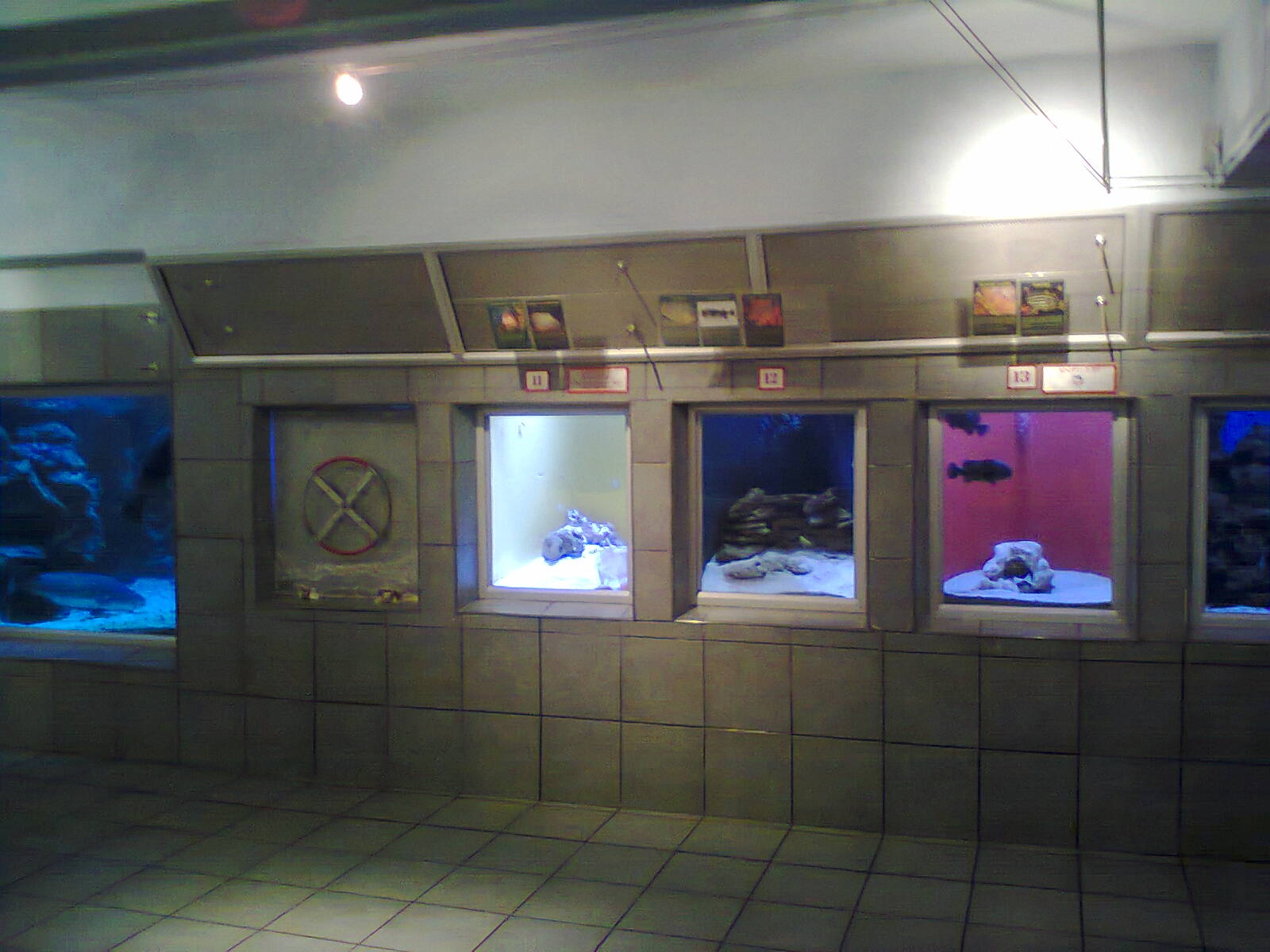 East London Aquarium