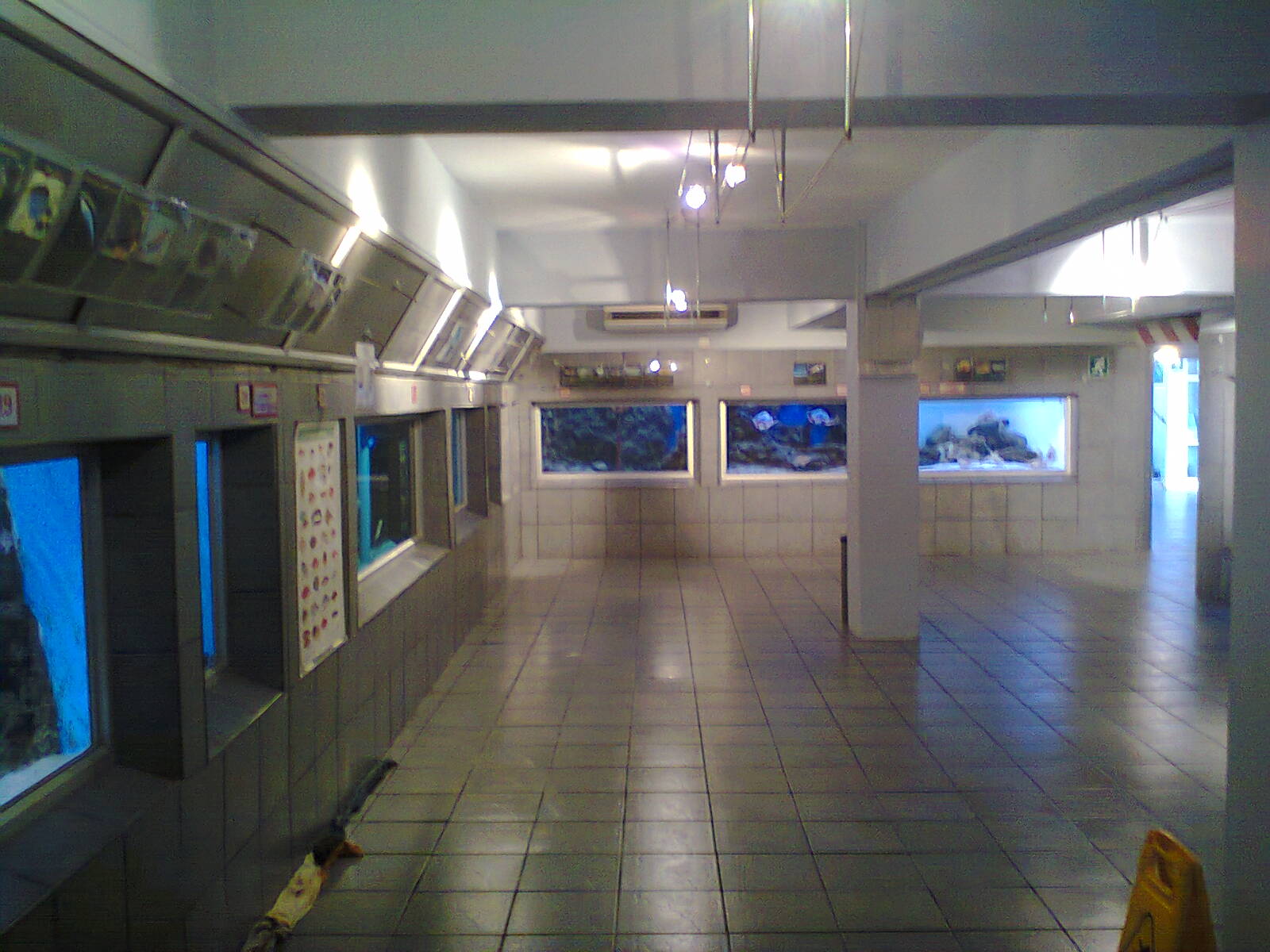 East London Aquarium