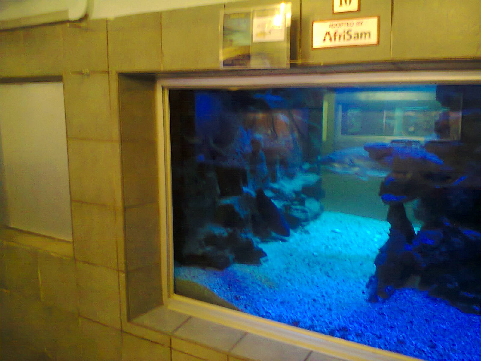 East London Aquarium