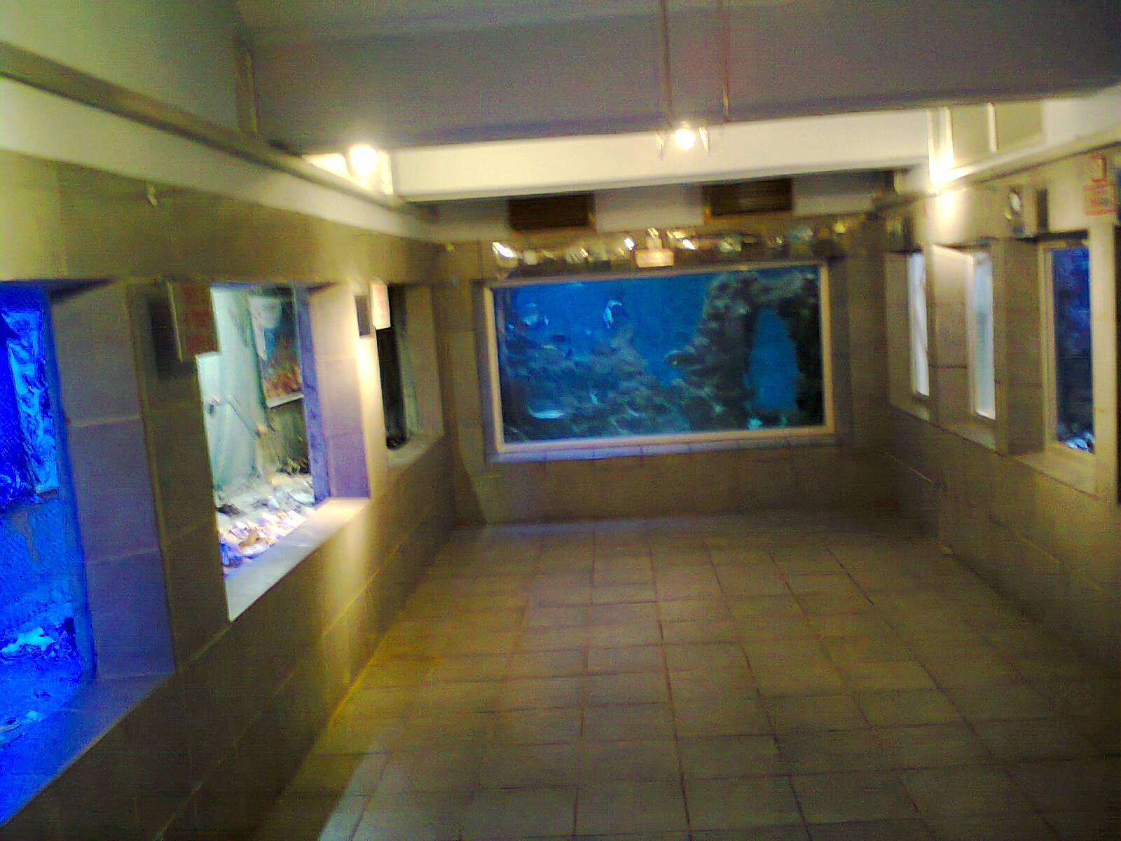 East London Aquarium