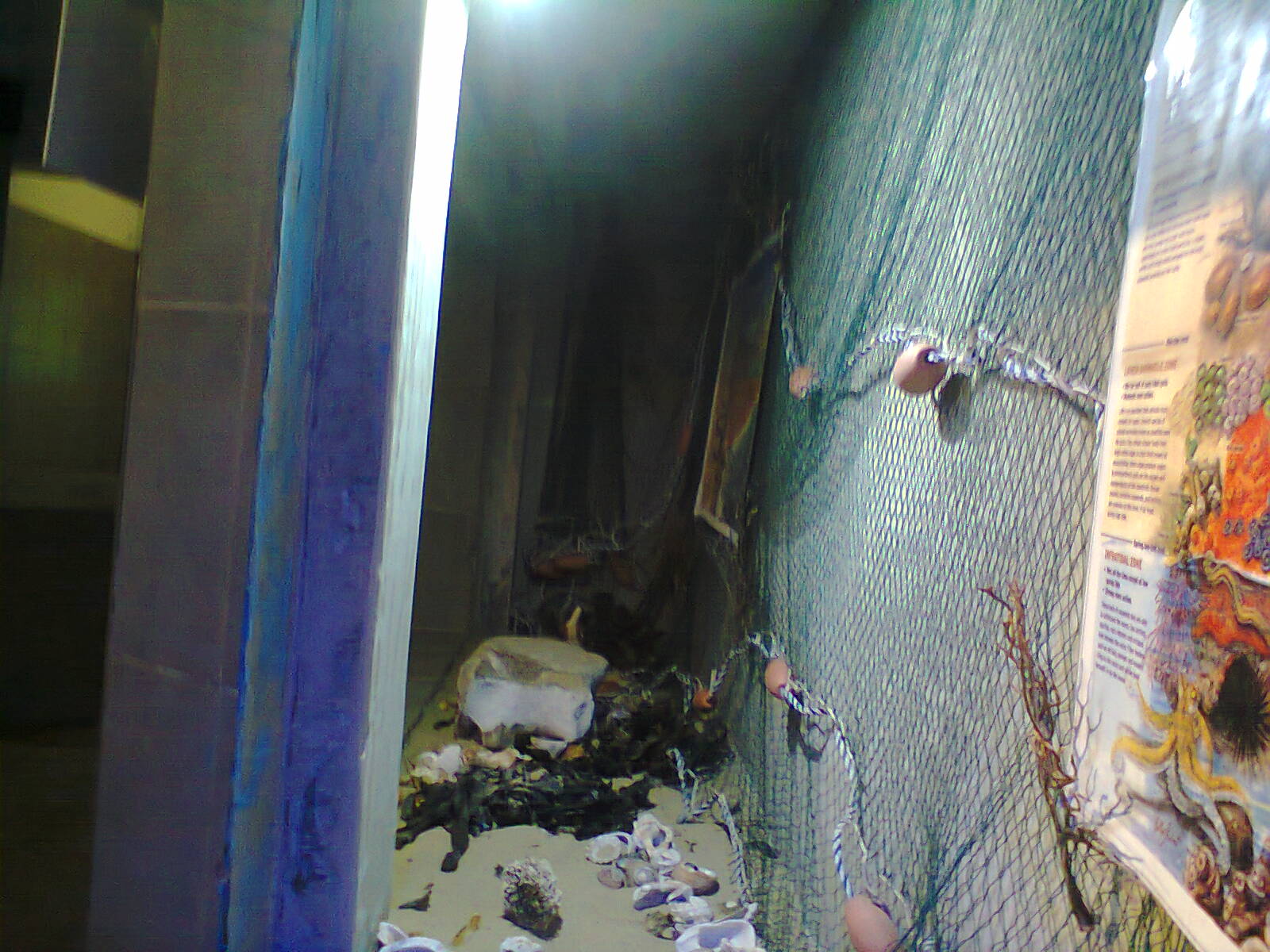 East London Aquarium