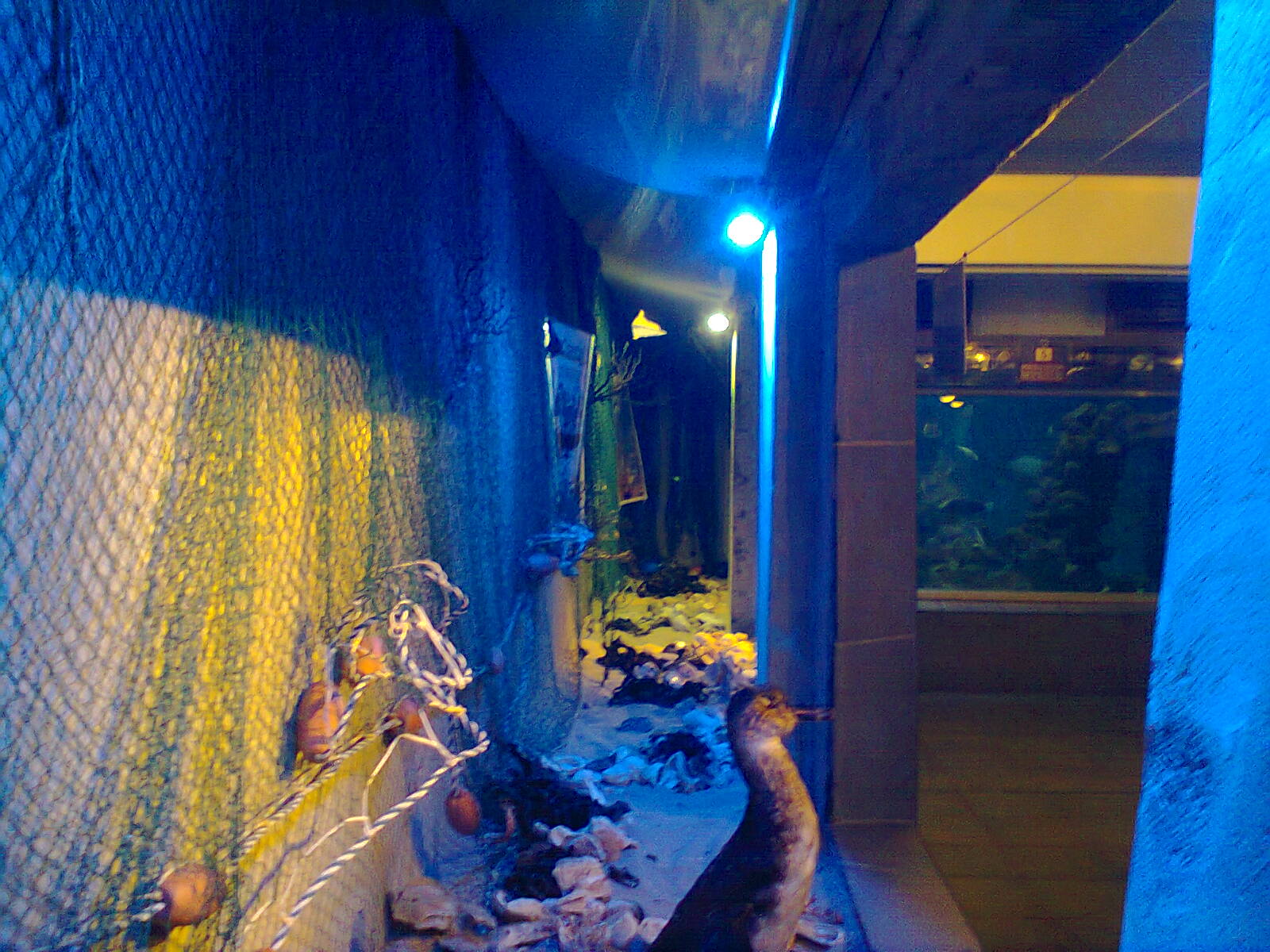 East London Aquarium