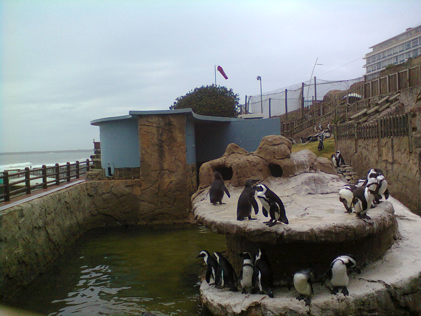 East London Aquarium