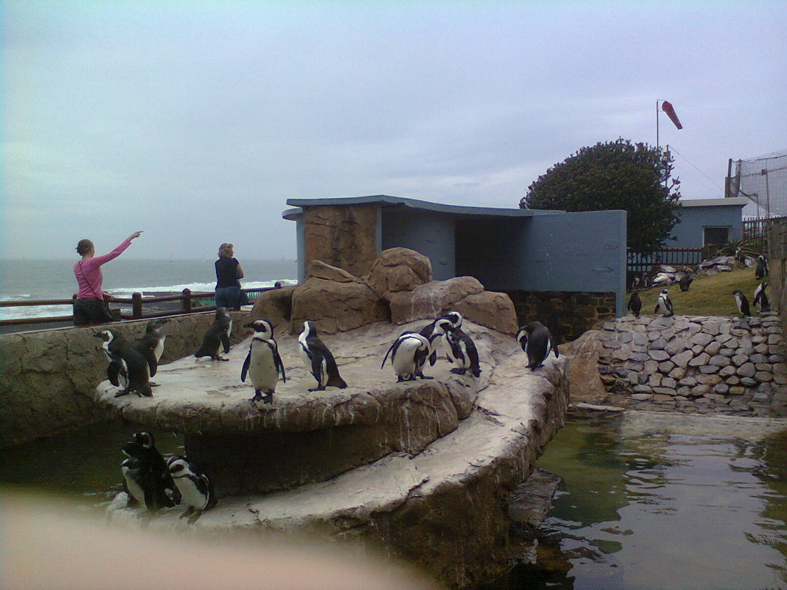 East London Aquarium