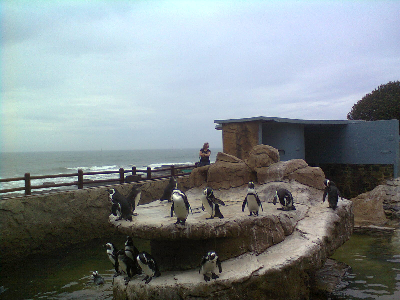 East London Aquarium