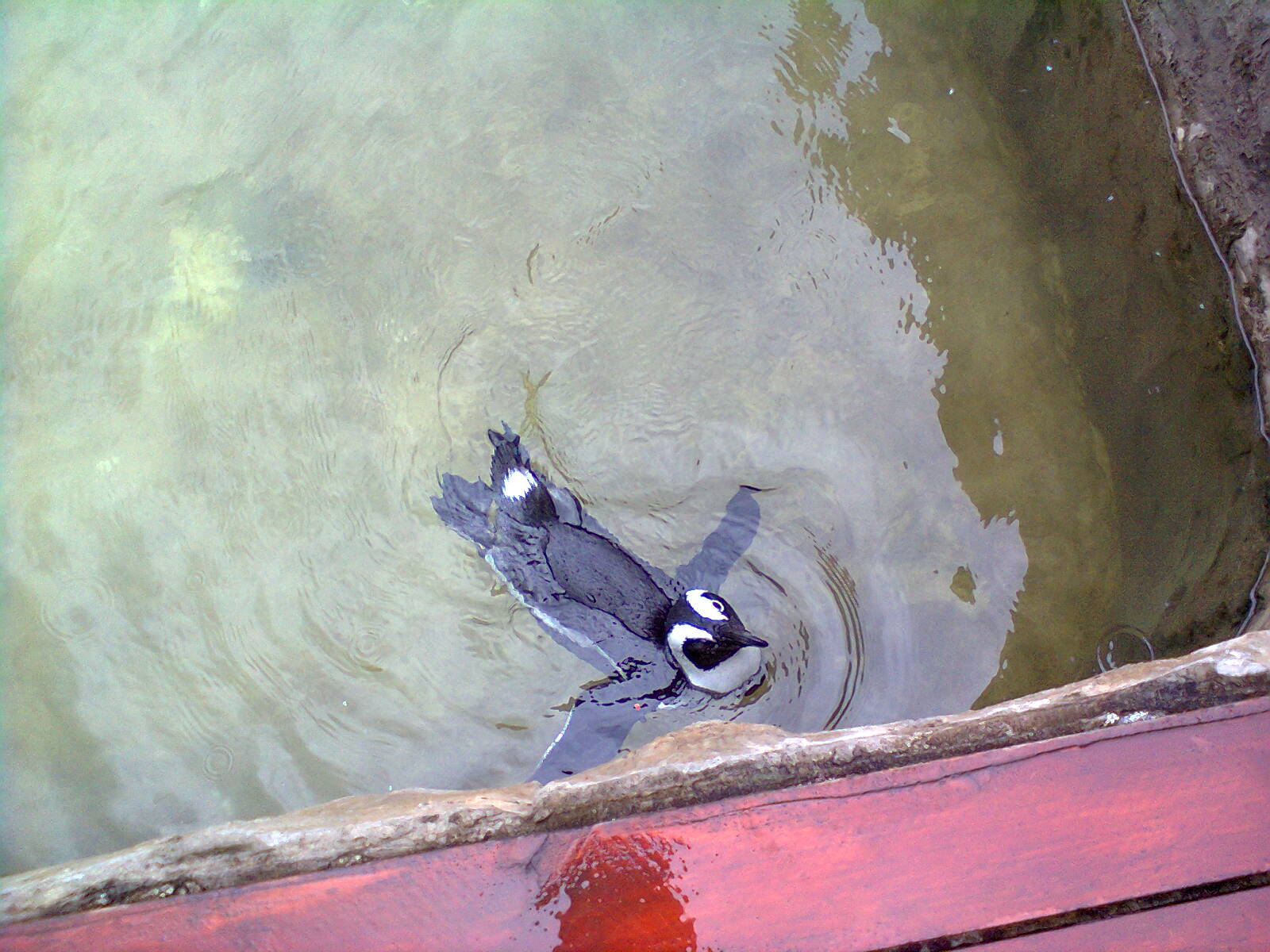 East London Aquarium