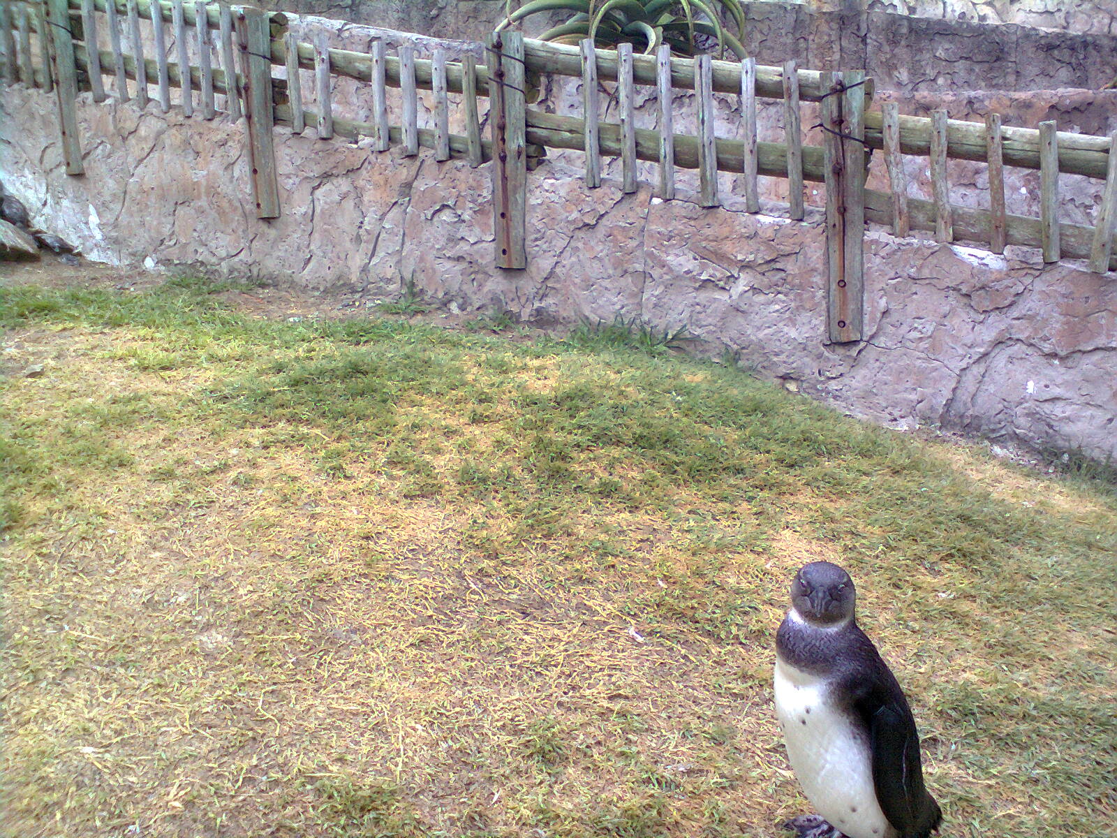 East London Aquarium
