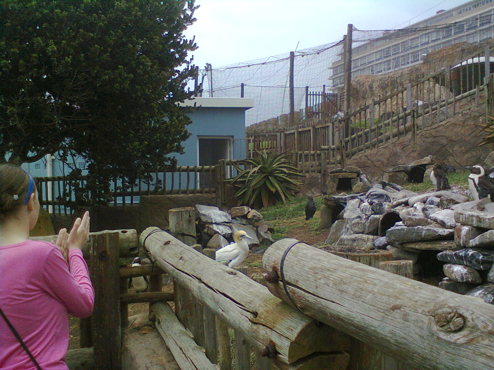 East London Aquarium