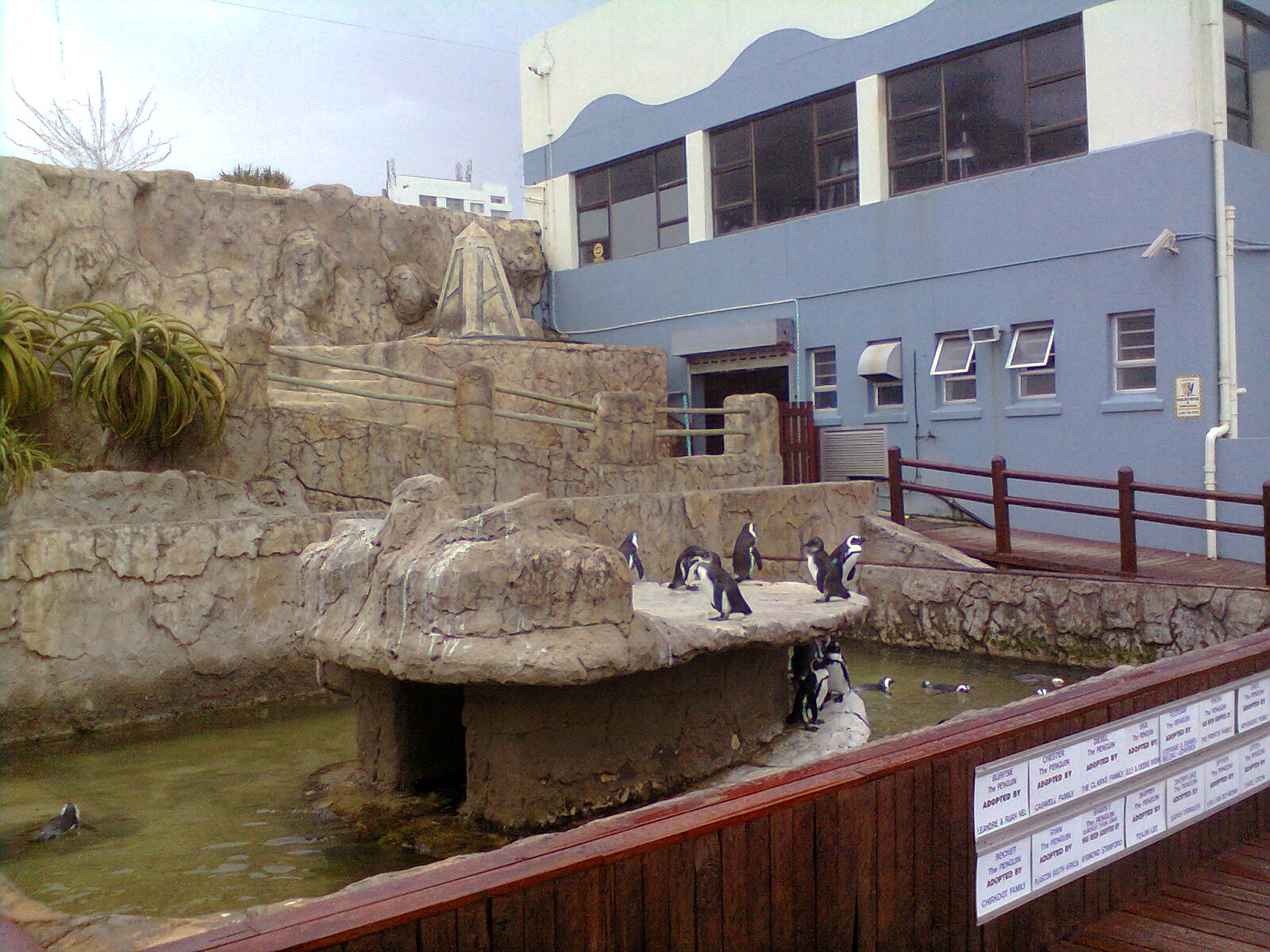 East London Aquarium