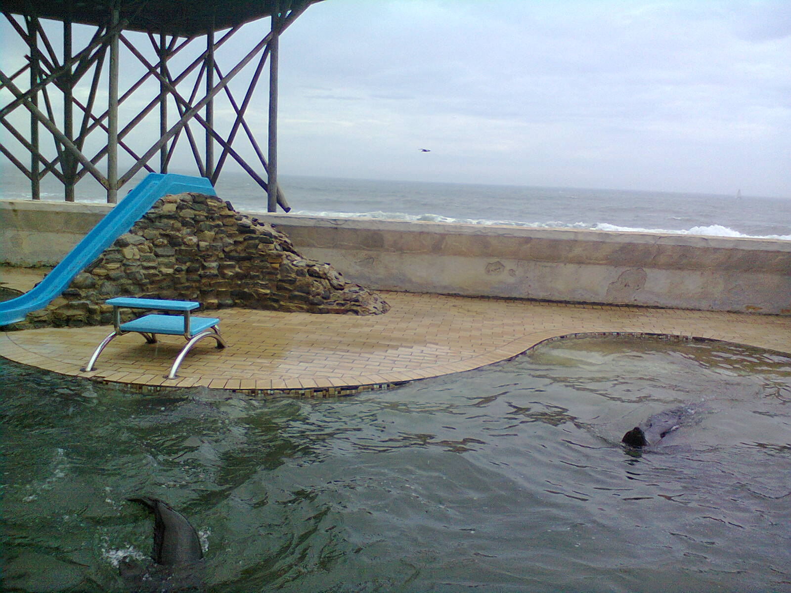 East London Aquarium