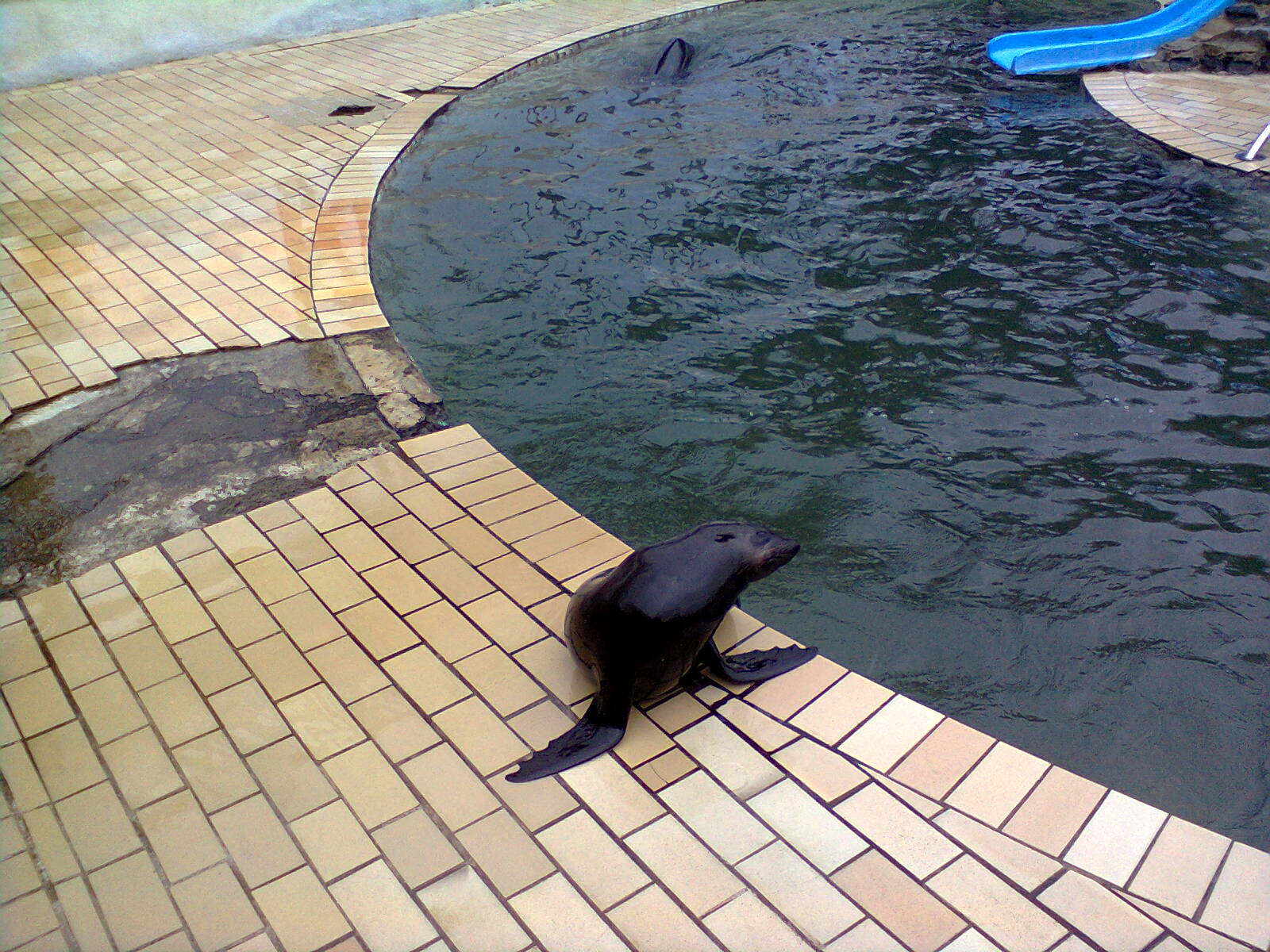 East London Aquarium