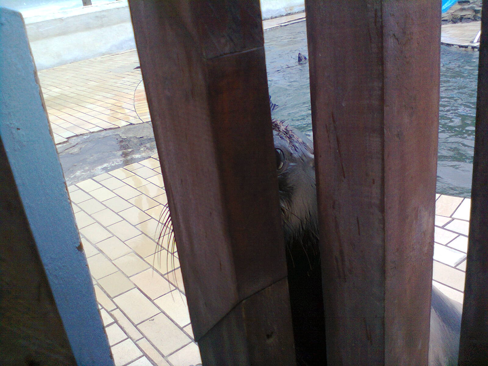 East London Aquarium