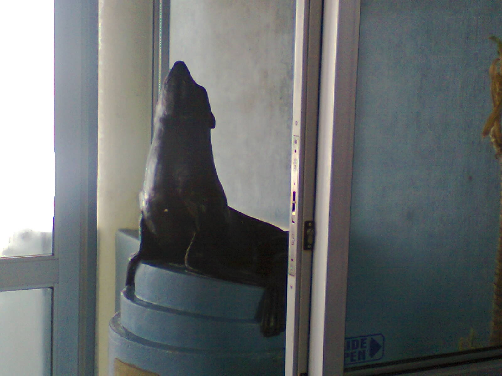 East London Aquarium