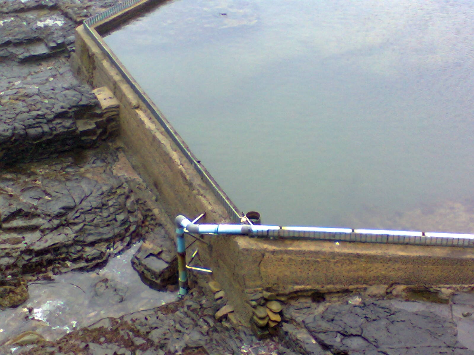 East London Aquarium