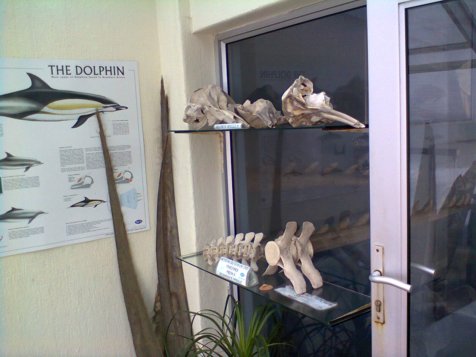 East London Aquarium