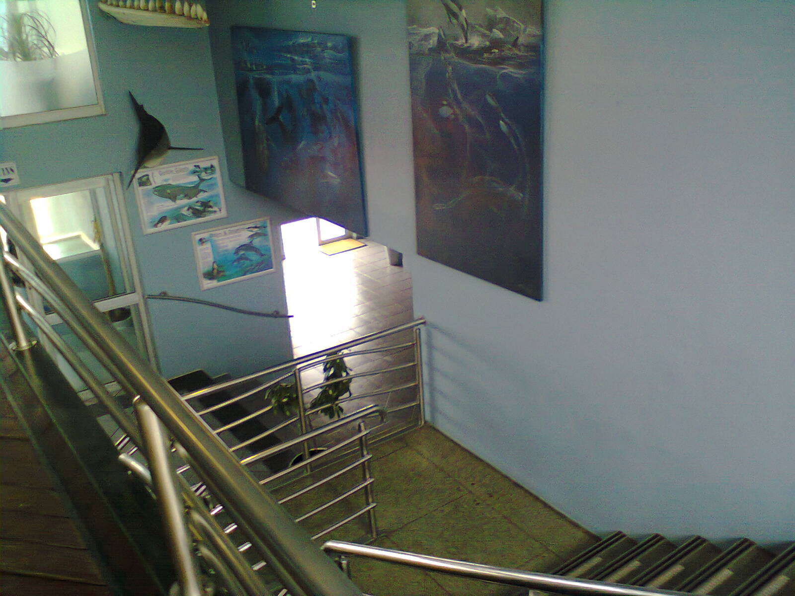 East London Aquarium