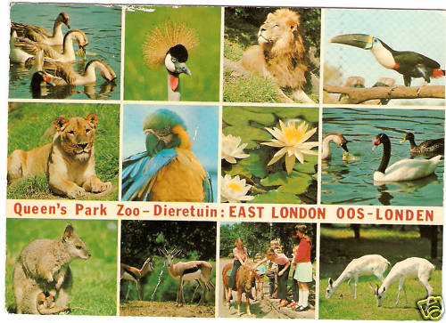 East London Zoo