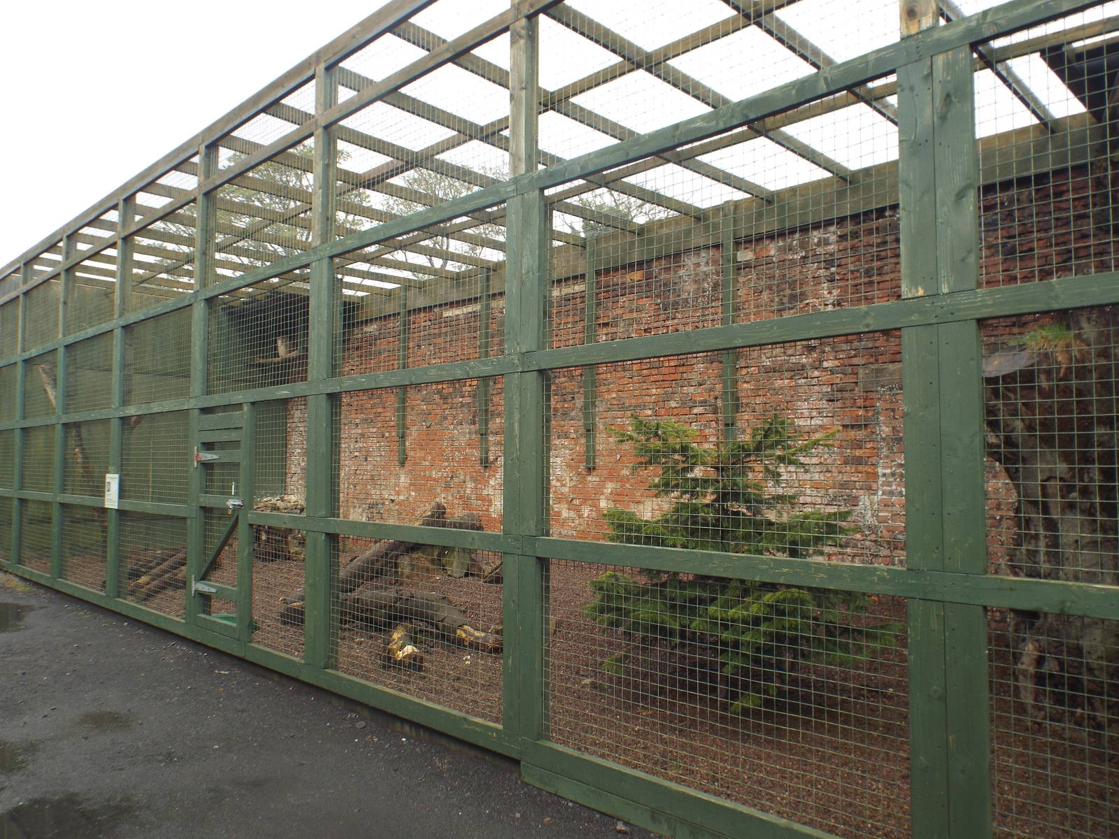 East Siberian Eagle-owl Enclosure at Scottish Owl Centre - May 6th 2015