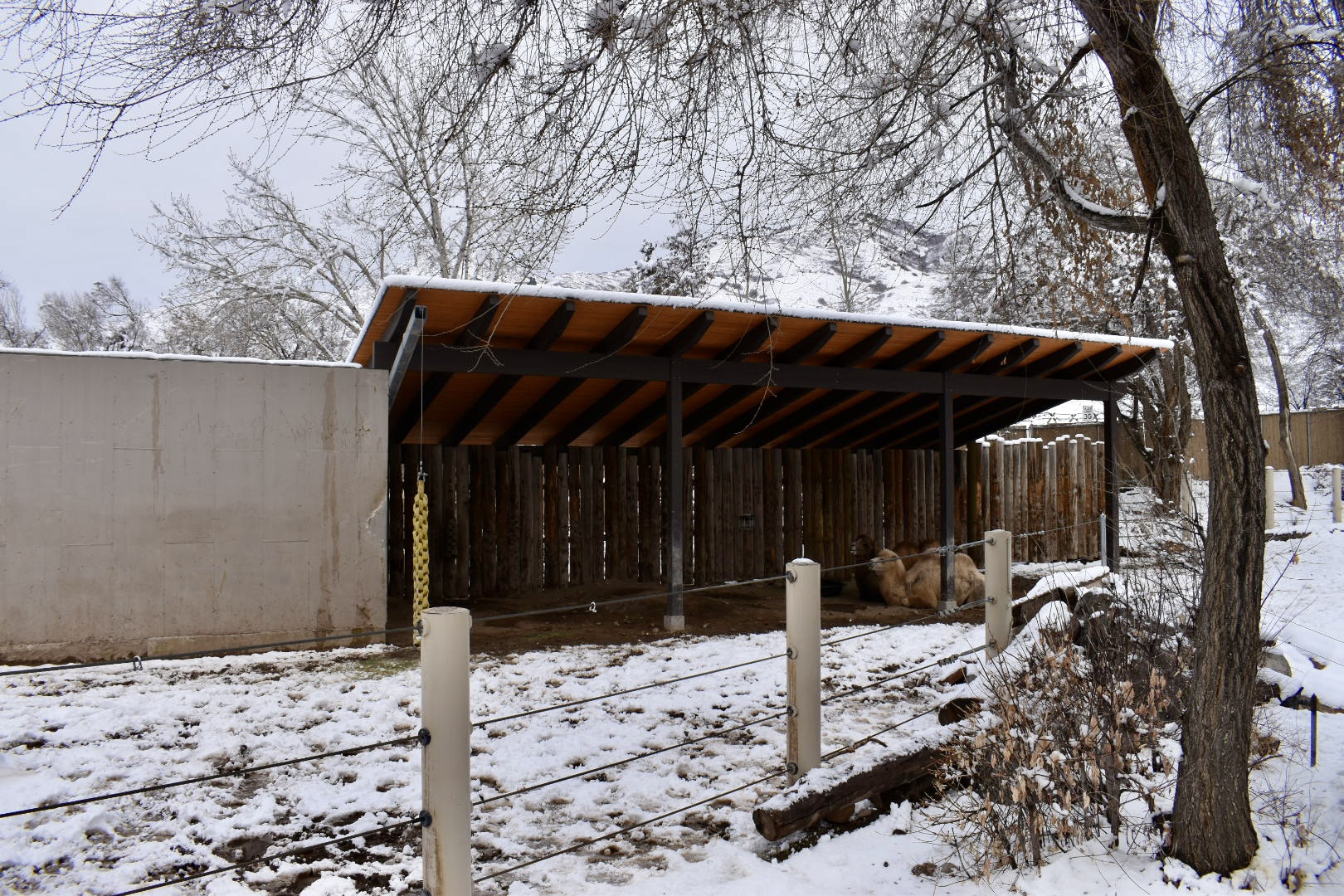 East Yard - High Desert Oasis